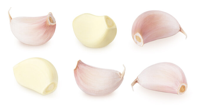 Large set of fresh garlic isolated on white background.