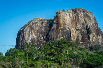 Gorgeous landscape jungle of Sri Lanka
