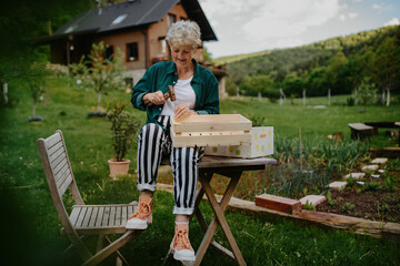 Happy senior woman renovating wooden crate outdoors in garden.