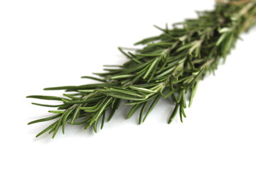 A bunch of rosemary seasoning lies on a white background.
