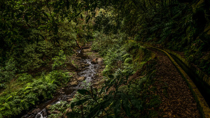 Madeira - Santo Da Serra
