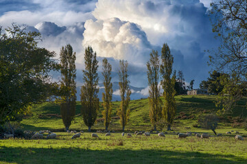 Abendstimmung in Neuseeland