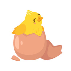 yellow chick breaks free of the shell