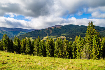 pine trees on top of the mountain on a background of distant mountains in the fog and clouds. spring nature scenario.