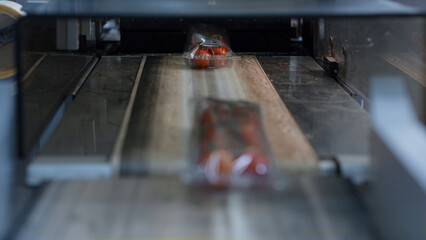 Tomato packs production line transportation process in horticulture factory