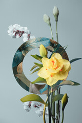 yellow daffodil and spring foliage, botanical composition with circle on gray background, studio shot.