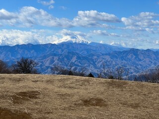 陣馬山