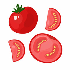 Vector set with tomato on a white background. Cut vegetable, slices and seeds of tomato.