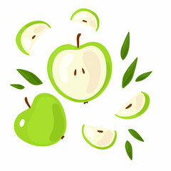 Vector set with an apple on a white background. Cut fruit, pieces and seeds of an apple. Green apples and leaves
