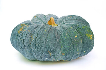 Big pumpkin organic fruit green color raw food on white background