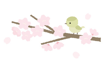 鶯と桜のイラスト