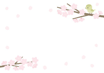 鶯と桜のイラスト背景