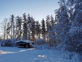 A dark one-story wooden house - a round log bathhouse in the snow among snow-covered trees on a cold clear day.