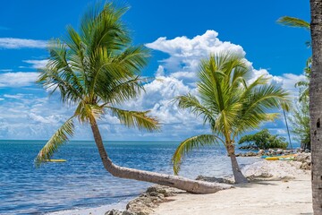 Obraz premium CREATIVE