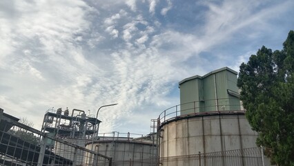 plant with smoke and sky blue background