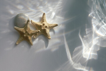 Blurred Soft focus gray grain texture refraction and starfish. Light and shadow smoke abstract copy space background.