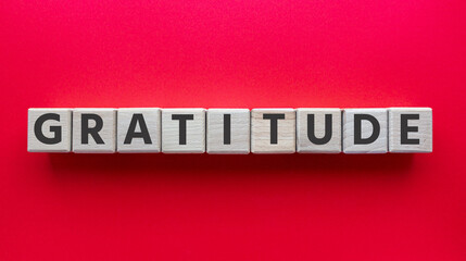 Text Gratitude on wooden cubes on blue background. Square wood blocks. Top view, flat lay.