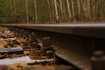 Tory kolejowe ( szyny) biegnące przez las . Zardzewiałe śruby mocujące szynę do podkładów