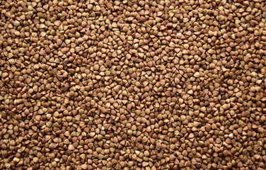 The texture of raw buckwheat