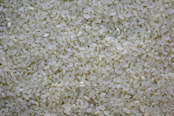 The texture of raw rice groats
