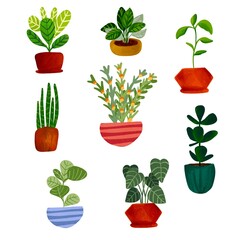 set of plants