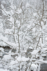 Winter Wonderland in Central Europe