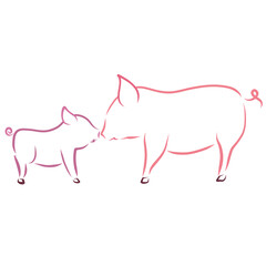 big pig and her baby touch each other with a snout