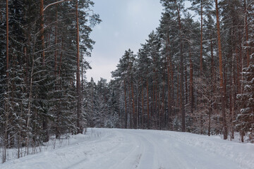 Winter snow-covered forest road landscape