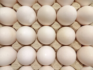 White Egg on the carton, top view stock photo