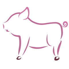 little pig, outline on a white background