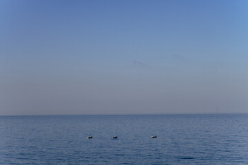 Naklejka premium Des pêcheurs dans l'océan marocain à Taghazout.