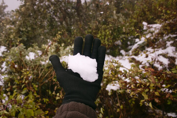 hand with glops holding snow and trees and plants in background