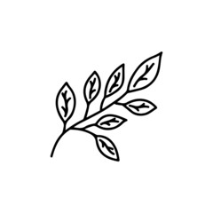 Twig with leaves. Spring or summer element. Ecology concept. Black and white vector isolated illustration hand drawn. Icon doodle