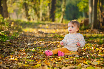 Blond toddler girl sitting in autumn forest