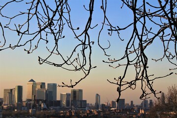 View of Canary Wharf from Greenwich Park