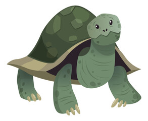 Cute turtle. Big green shell sea animal