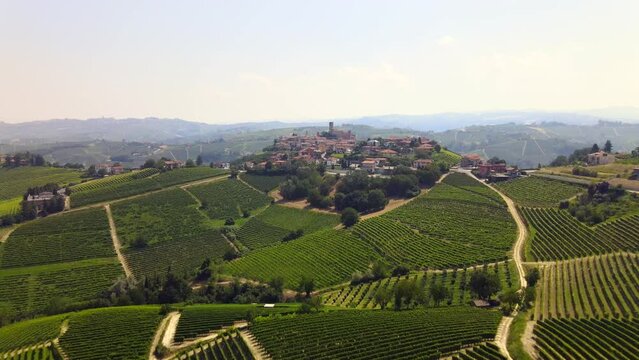 Flying on Barolo's Vineyard - 4K