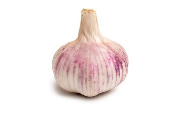 Cutout of the whole fresh purple-skin garlic bulb isolated on the white background with clipping path.