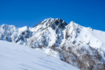 見事な冬山の風景