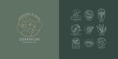 Vector linear set of botanical icons and emblems. Design logos with typography for essential oils. Natural cosmetic products.