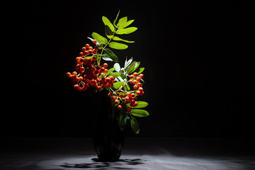 Still life with branch of rowan berries.
