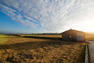 Summer sunset with a storehouse in paddyfield of Taiwan.