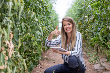 Agricultural industry, agriculture, people and the concept of the farm - a happy smiling young woman or a farmer on a greenhouse farm who shows a thumbs up and looks directly at the camera. 