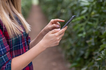 Modern technologies in floristry. The hands of a girl with a smartphone that she uses for photography and online communication in the greenhouse, with flowers in the background of pots. 