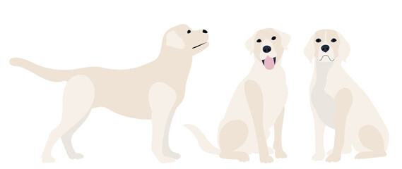 dog flat design on white background, vector