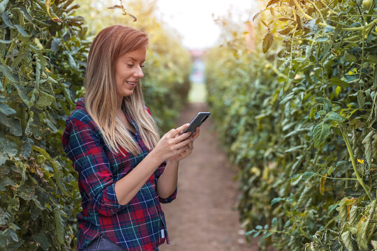 A beautiful young woman, a garden center worker, sends messages on her mobile phone and stands at work in a greenhouse. A beautiful saleswoman browses online on a smartphone in a greenhouse.