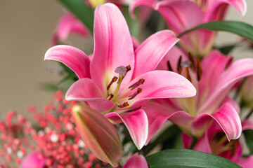 lily, pink lily, bouquet of flowers