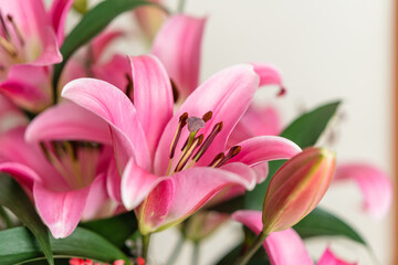 lily, pink lily, bouquet of flowers