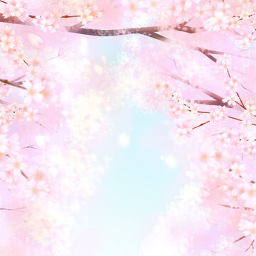 桜の並木道と青空の風景イラスト