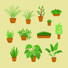 Collection of house plants. Flat style illustration.